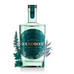 The Top Ten Gins to Drink in 2021