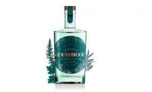 Read more about the article The Top Ten Gins to Drink in 2021