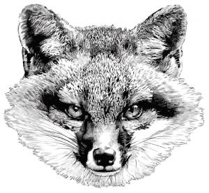 logo of wolf