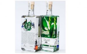 square liquor bottle with printings