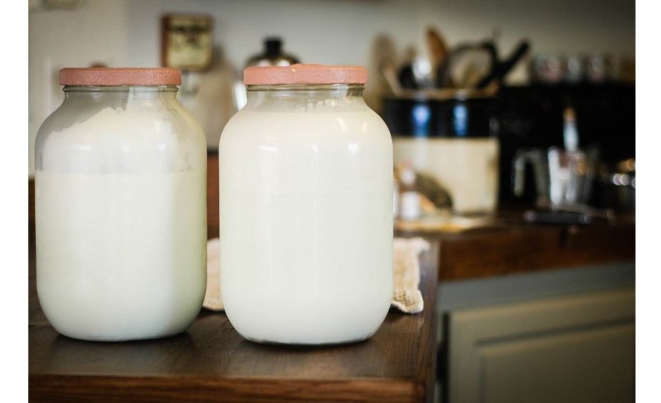 How to Handle the Raw Milk from Barn to Fridge